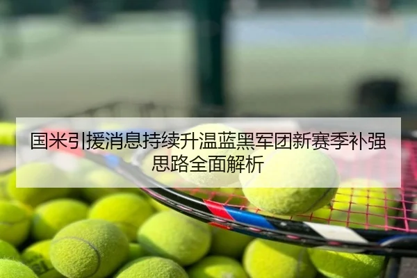 国米引援消息持续升温蓝黑军团新赛季补强思路全面解析
